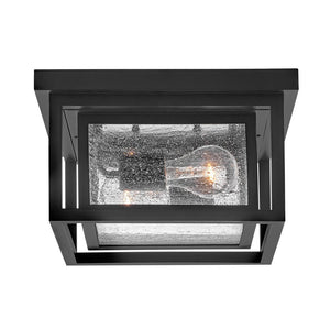 Tropic 11" Two Lights Small Flush Mount, Black
