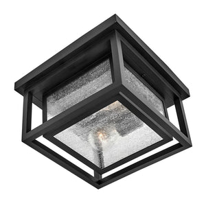 Tropic 11" Two Lights Small Flush Mount, Black