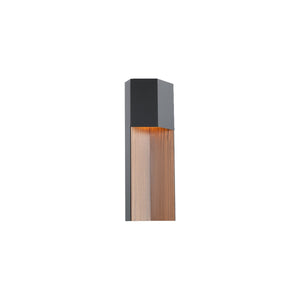 FM Modern 20'' LED Outdoor Wall Sconce, Black and Walnut - Main Product Image.jpg