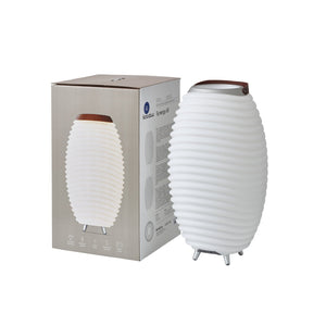 Synergy 16" Cordless Rechargeable Indoor/Outdoor Speaker Lamp, White