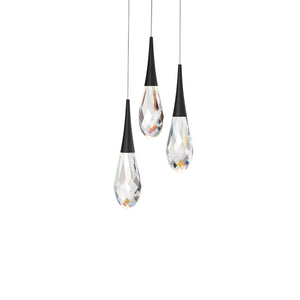 Hibiscus 12'' LED Pendant, Black - Main Product Image.jpg