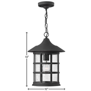 Fjord 10" One Light Medium Hanging Lantern, Black