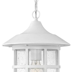 Fjord 10" One Light Medium Hanging Lantern, Classic White
