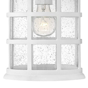 Fjord 10" One Light Medium Hanging Lantern, Classic White