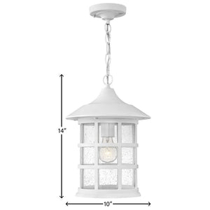 Fjord 10" One Light Medium Hanging Lantern, Classic White