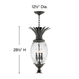 Beryl 12" Four Lights Large Hanging Lantern, Museum Black