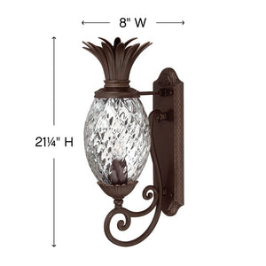 Beryl 8" One Light Large Wall Mount Lantern, Copper Bronze