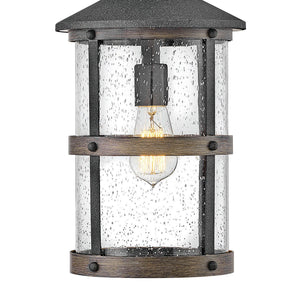 Delta 9" One Light Medium Hanging Lantern, Aged Zinc