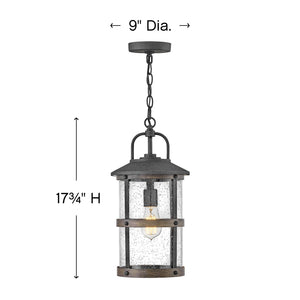 Delta 9" One Light Medium Hanging Lantern, Aged Zinc