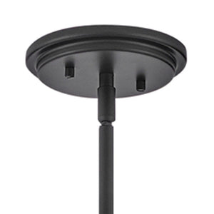 Relic 15" One Light Medium Pendant, Black
