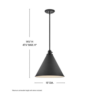 Relic 15" One Light Medium Pendant, Black