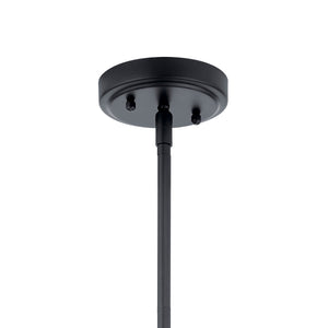 Vance 10" One Light Pendant, Clear Glass / Black