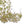 Ivy 25'' Six Light Chandelier, Champagne - Alternate Product Image 1.jpg