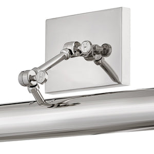 Pebble 20" Two Lights Medium Adjustable Accent Light, Polished Nickel