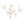 Zerra 67