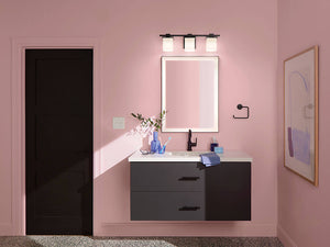 Baxter 24" Three Lights Vanity Light, Satin Etched Cased Opal Glass / Black