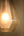 Elion 14