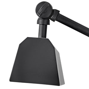 Relic 12" One Light Small Adjustable Accent Light, Black