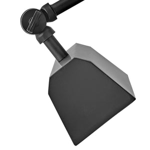 Relic 20" Two Lights Medium Adjustable Accent Light, Black