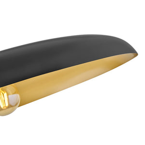 Hush 24" One Light Medium Dome Chandelier, Lacquered Brass / Black Accents