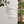 Lake Port Square 8