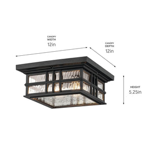 Lake Port Square 12" Two Lights Outdoor Ceiling Light, Clear Hammered Glass / Textured Black