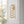 Solora 7
