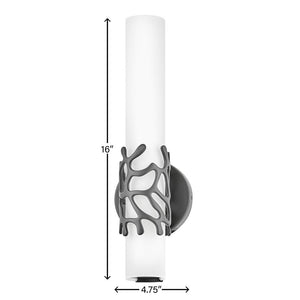 Thyron 5" Medium LED Sconce, Black