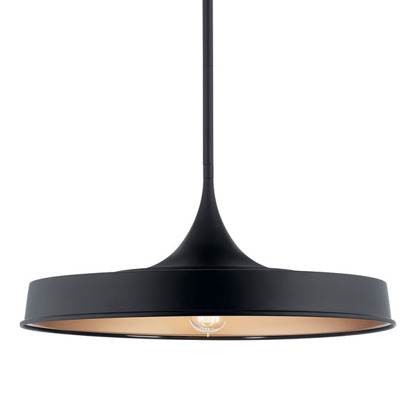 Cade 10" One Light Pendant, Black