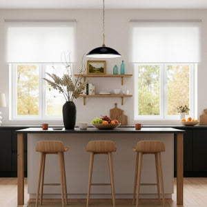 Meyer 20" One Light Pendant, Black and Champagne Bronze
