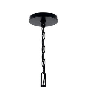 Talisa 52" Eight Lights Chandelier, Black