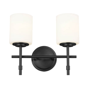 Janie 14" Light Vanity Light, Black