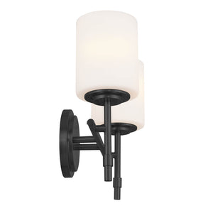 Janie 14" Light Vanity Light, Black