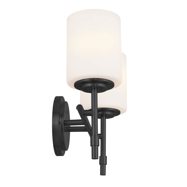 Janie 14" Light Vanity Light, Black
