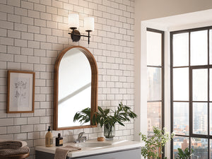 Janie 14" Light Vanity Light, Black