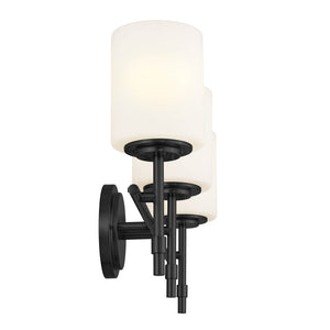 Janie 23" Three Lights Vanity Light, Black