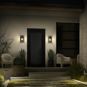 Sebastian 20" One Light Wall Light, Clear Glass / Black