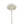 Lana 21'' Six Light Chandelier, Matte White / Antique Gold - Alternate Product Image 2.jpg