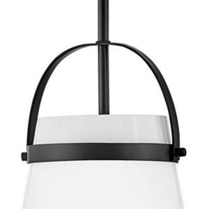Elra 9" Small Single Light Convertible Pendant, Black