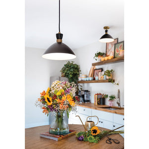 Quaelle 13" Medium Single Light Convertible Pendant, Black