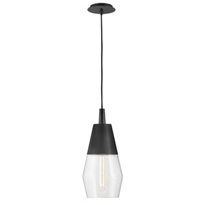Elar 8" Small Single Light Convertible Pendant, Black