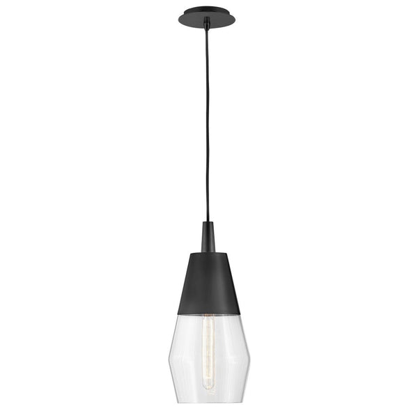 Elar 8" Small Single Light Convertible Pendant, Black