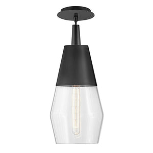 Elar 8" Small Single Light Convertible Pendant, Black