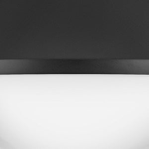 Naiel 11" One Light Small Flush Mount, Black