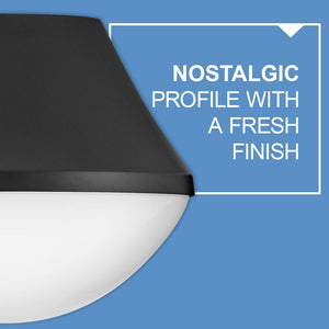 Naiel 11" One Light Small Pendant, Black