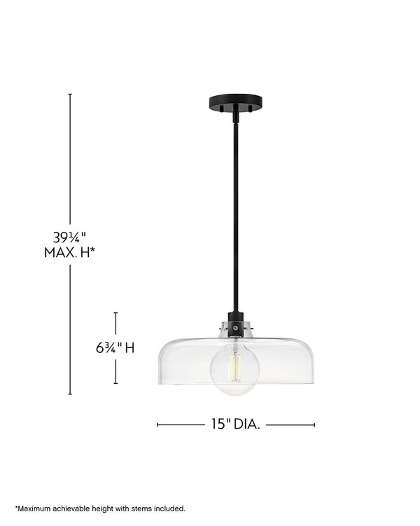 Alar 15" One Light Medium Pendant, Black / Clear Glass