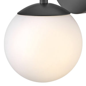 Daion 6" Medium Single Light Vanity, Black