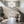 Adler 31.5'' 20 Light Chandelier, Aged Brass Clear