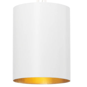 Adair 8'' One Light Mini Chandelier, Matte White / Antique Gold