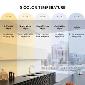 Aura 16" LED Flush Mount Ceiling Light, White/Walnut